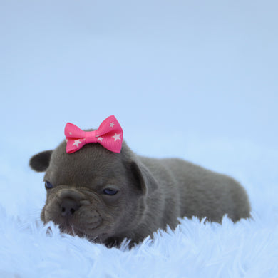 Chloe - Available 9/10