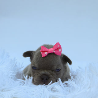 Chloe - Available 9/10