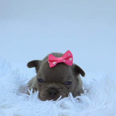 Chloe - Available 9/10