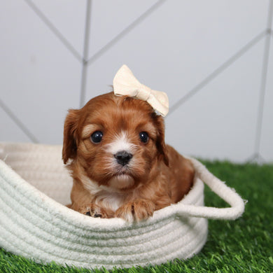 Kathy- Available 6/11