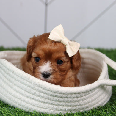Kathy- Available 6/11