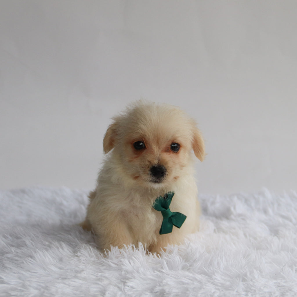 Mavery - Available 9/3