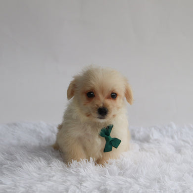 Mavery - Available 9/3