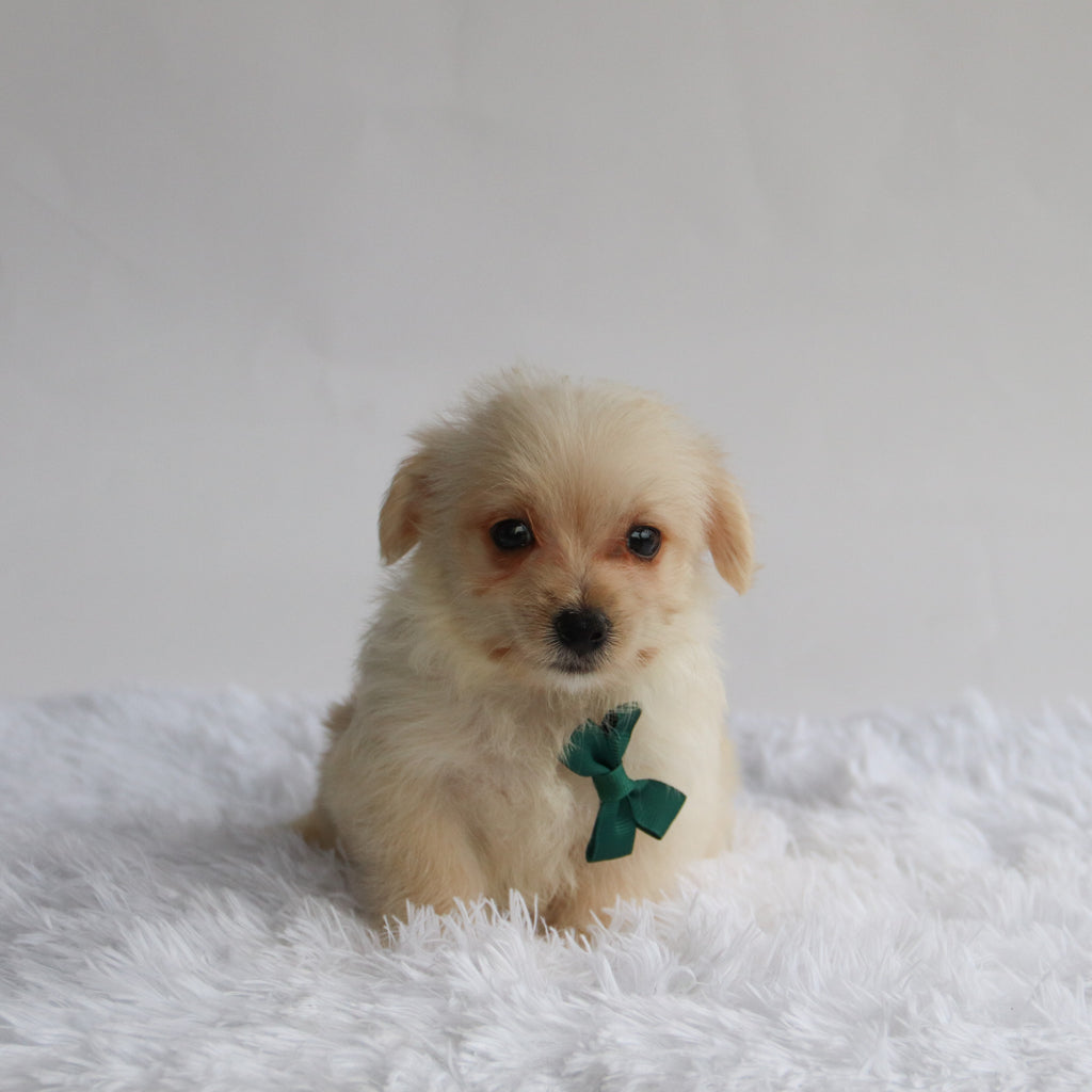 Mavery - Available 9/3