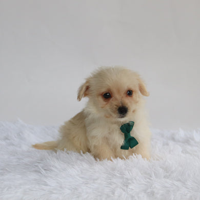 Mavery - Available 9/3