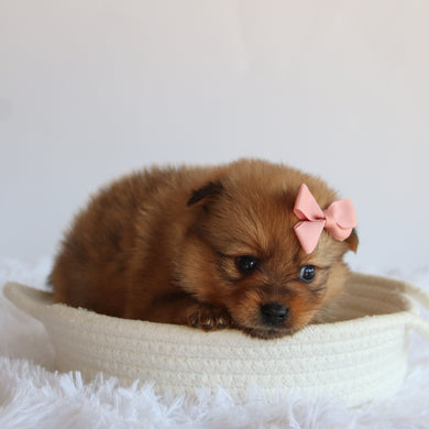 Matilda - Available 8/20