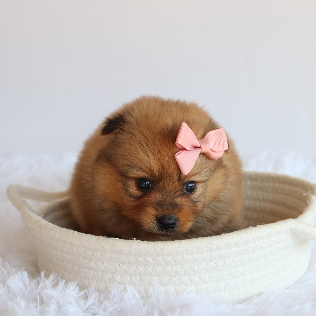 Matilda - Available 8/20