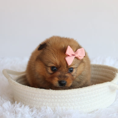 Matilda - Available 8/20