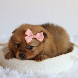 Matilda - Available 8/20