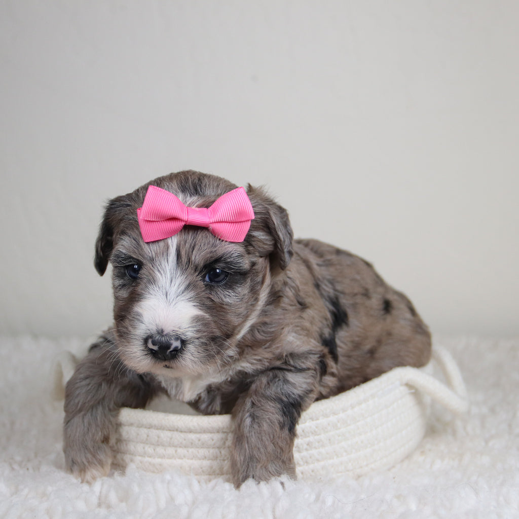 Claire - Available 6/4