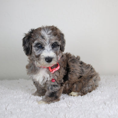 Claire - Available 6/4