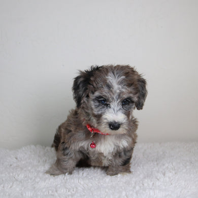 Claire - Available 6/4