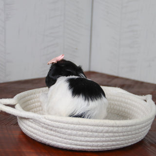 Matilda - Available 6/11