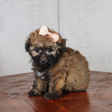 Myka - Available 6/11