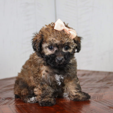 Myka - Available 6/11