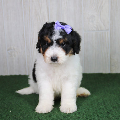 Cassie - Available 5/21