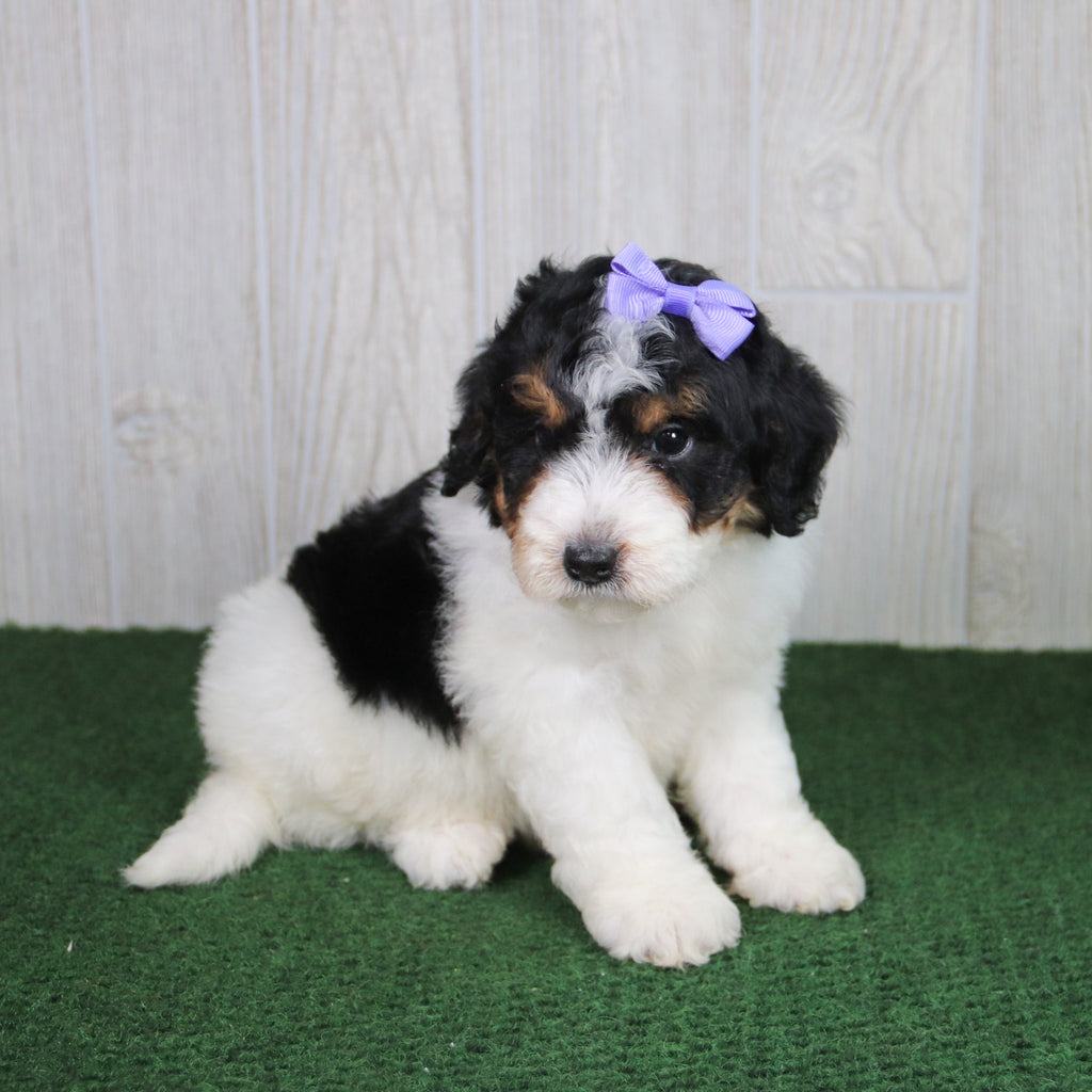 Cassie - Available 5/21