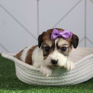 Bertha - Available 6/4