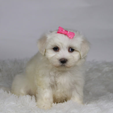 Kari - Available 11/12