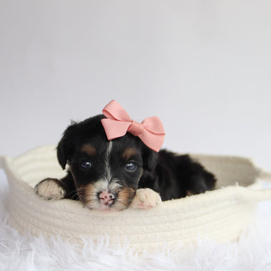 Rita - Available 9/24