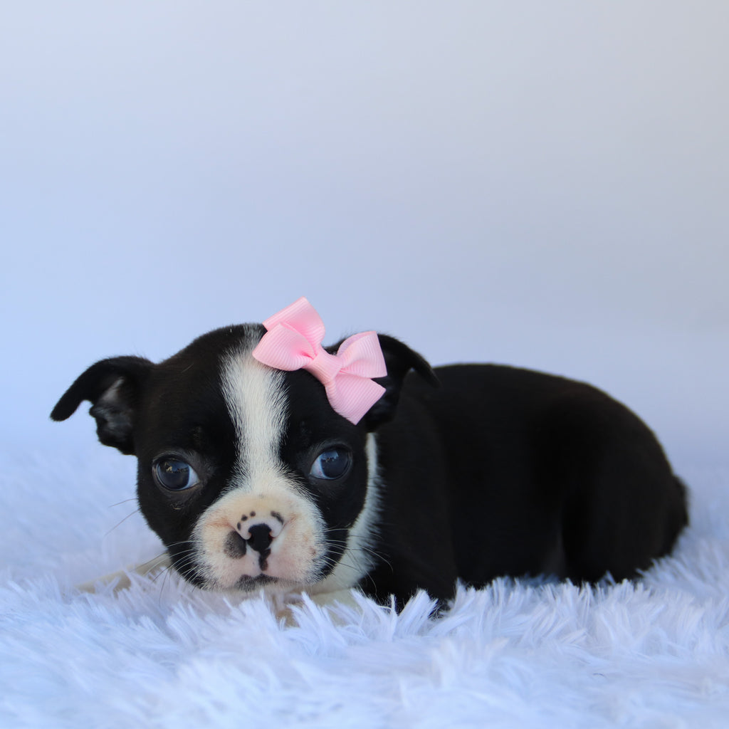 Claire - Available 10/1