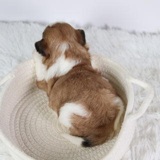 Ashley - Available 10/7