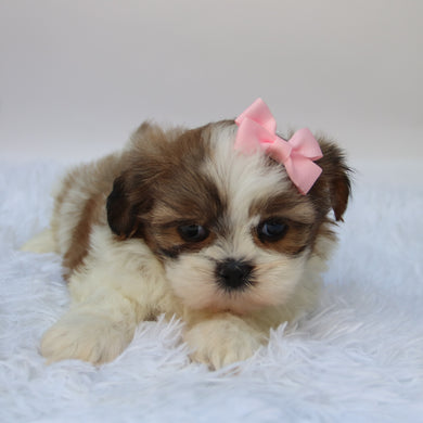 Brenda - Available 10/7