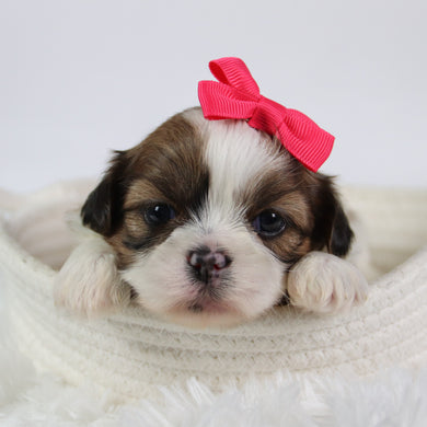 Brenda - Available 10/7