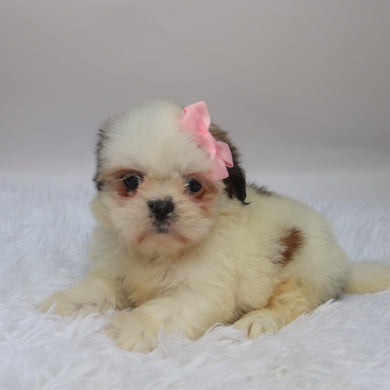 Candy - Available 10/7