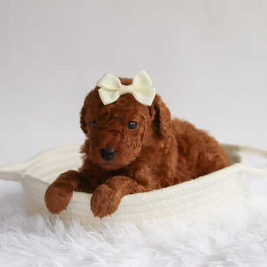 Stormy - Available 9/24