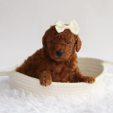 Stormy - Available 9/24