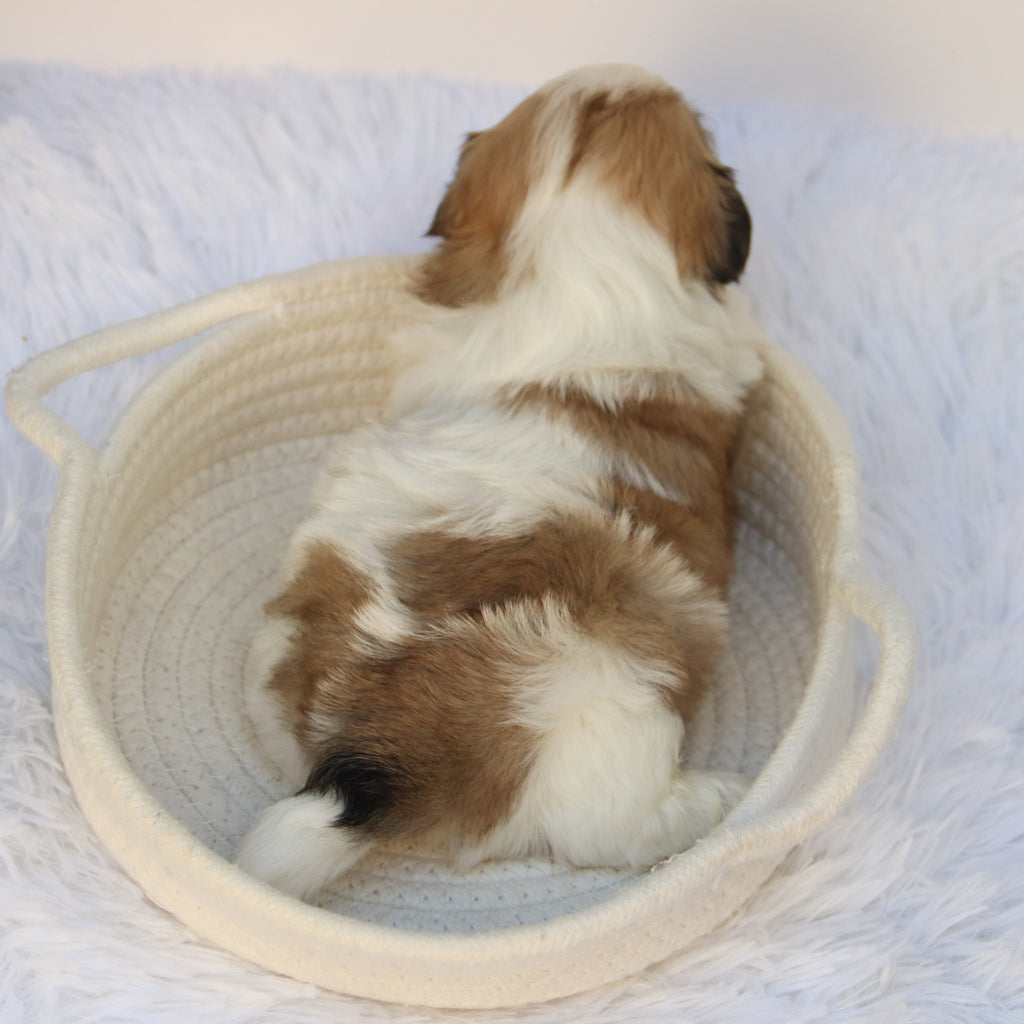 Randy - Available 11/5