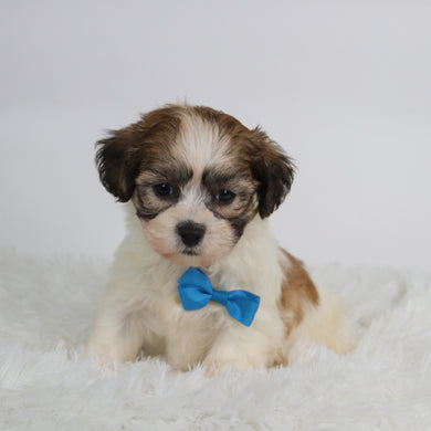 Topper - Available 10/15
