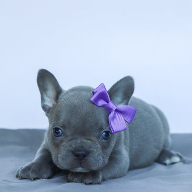 Chloe - Available 9/10