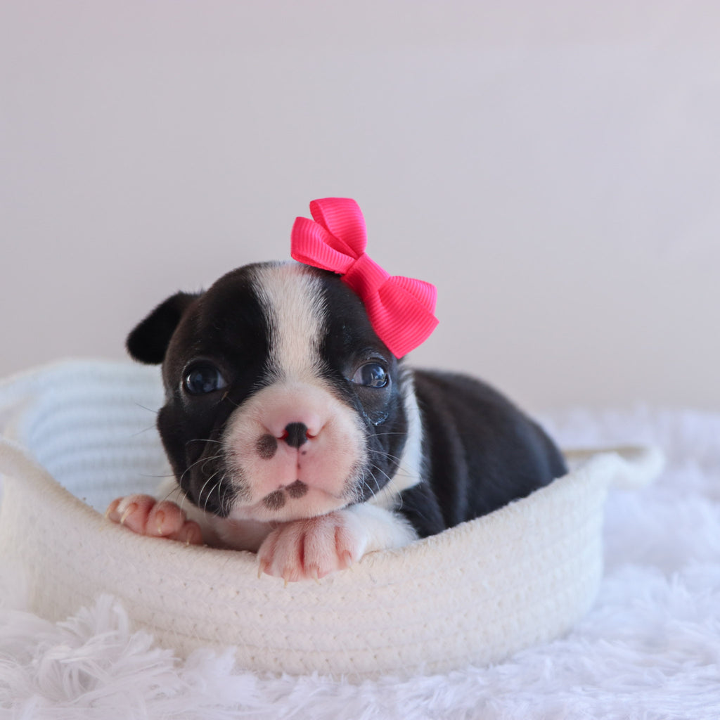 Claire - Available 10/1