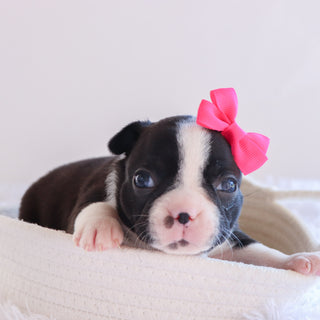 Claire - Available 10/1