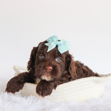 Delilah - Available 7/23