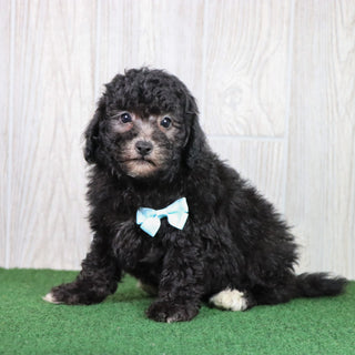 Doug - Available 5/28