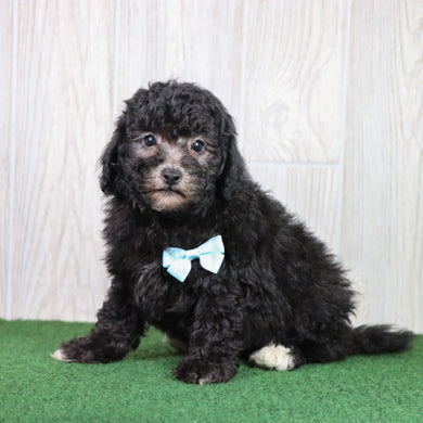 Doug - Available 5/28
