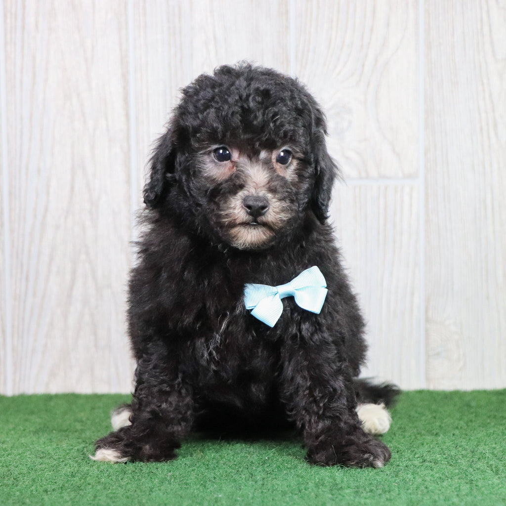 Doug - Available 5/28