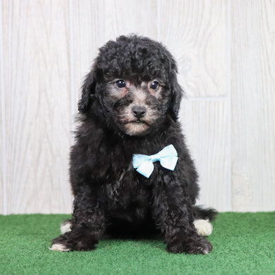 Doug - Available 5/28
