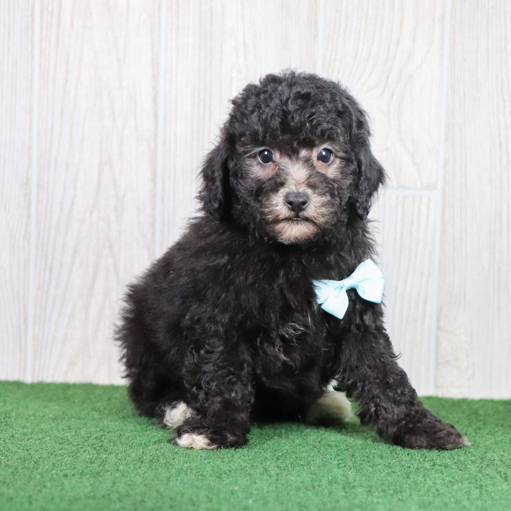 Doug - Available 5/28
