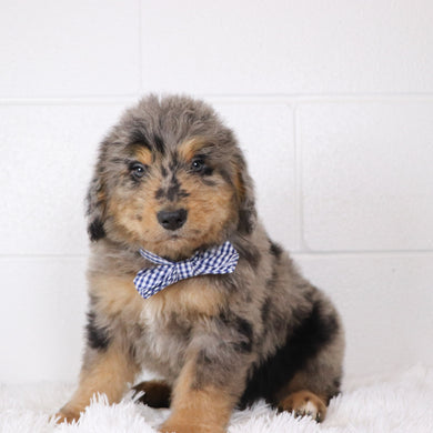 Ekon - Available 1/15