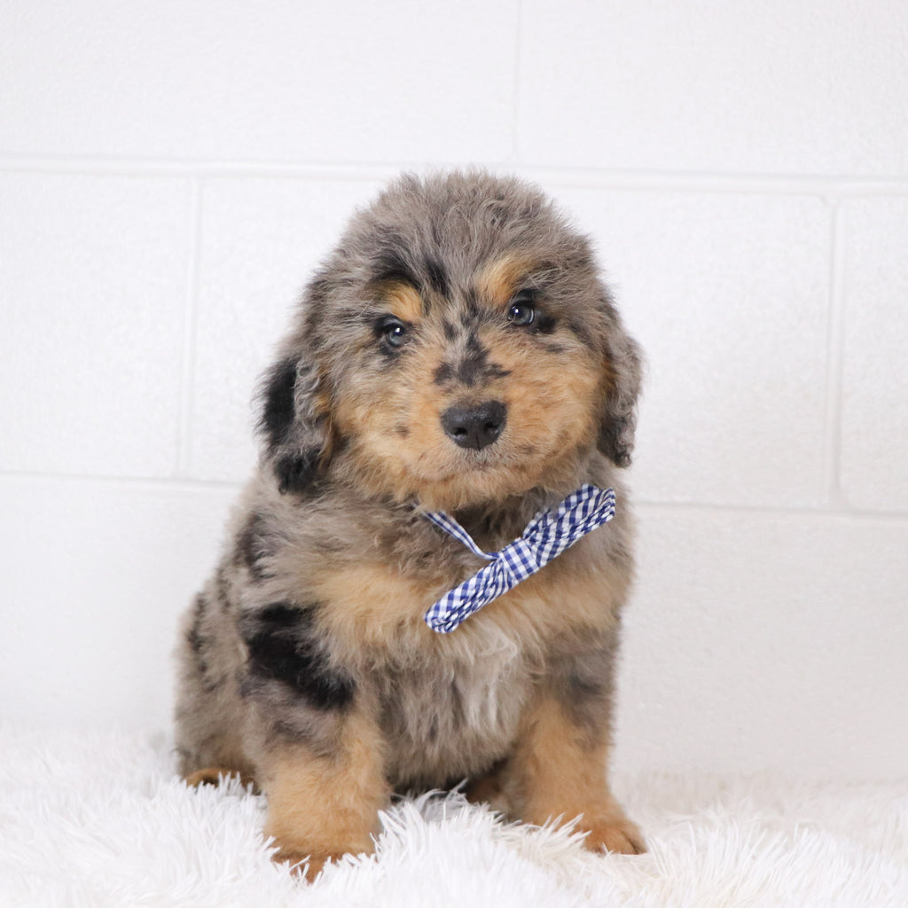 Ekon - Available 1/15