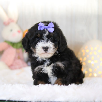 Delilah - Available Now