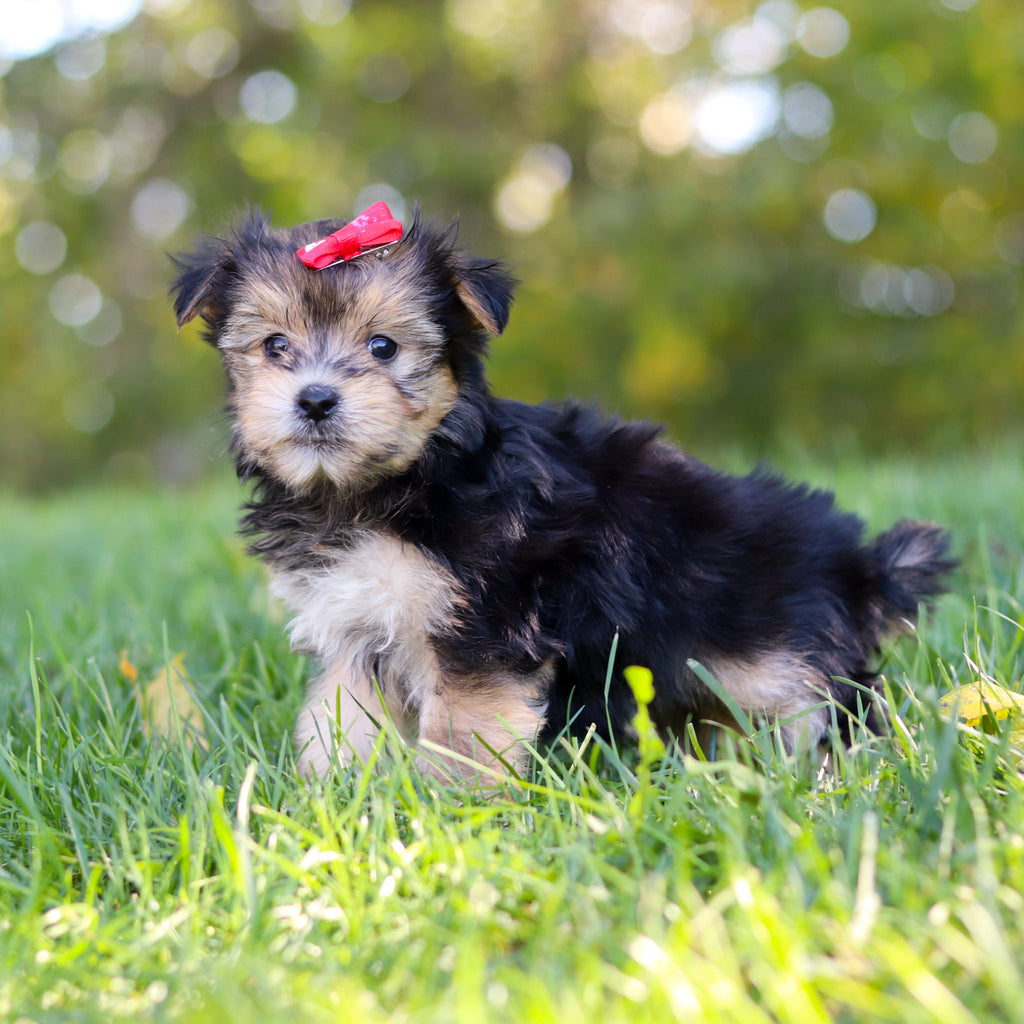 Eliza - Available 10/22
