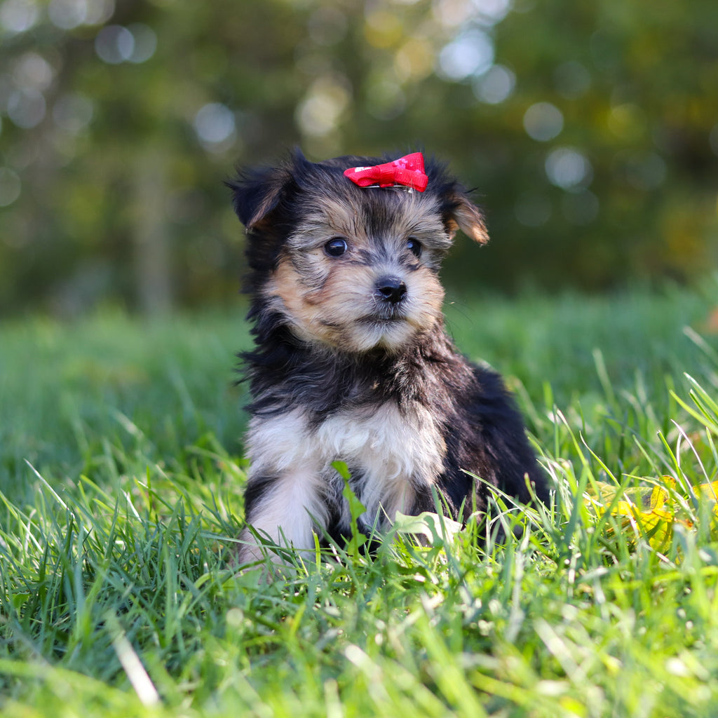 Eliza - Available 10/22
