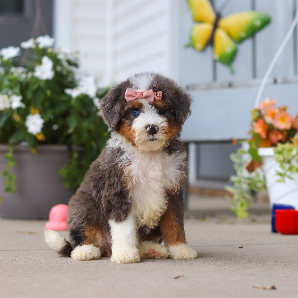 Luann - Available 8/27