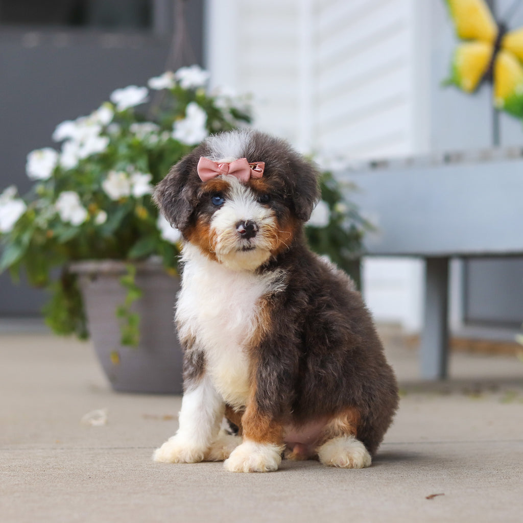 Luann - Available 8/27