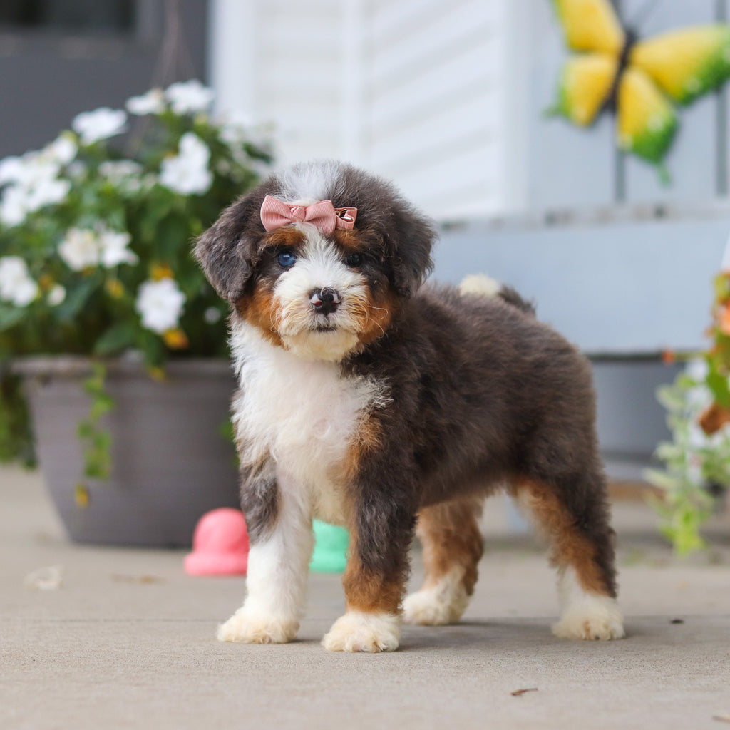 Luann - Available 8/27